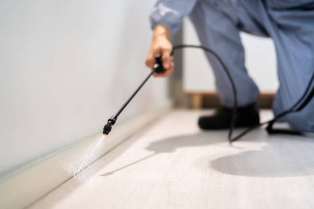 Licensed Rodent Control service in Fredericksburg city County, VA - Nex Pest Control