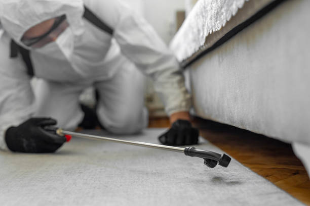 Professional Rodent Control technician working in Fredericksburg city County, VA